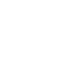 globe icon